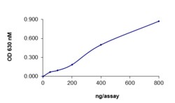 Sino Biological&nbsp;Recombinant Human CDC25A Protein (Full Length, GST Tag), Active