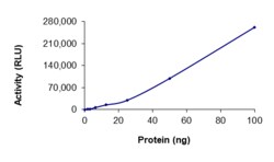 Sino Biological&nbsp;Recombinant Human c-Kit Protein (D816E, GST Tag), Active