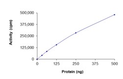 Sino Biological&nbsp;Recombinant Human c-Kit Protein (D816V, GST Tag), Active