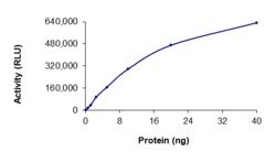 Sino Biological&nbsp;Recombinant Human CaMKI gamma/CAMK1G Protein (Full Length, GST Tag), Active