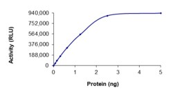 Sino Biological&nbsp;Recombinant Human CaMKII beta/CAMK2B Protein (Full Length, His Tag), Active