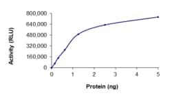 Sino Biological&nbsp;Recombinant Human CaMKII gamma/CAMK2G Protein (GST Tag), Active
