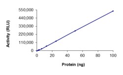Sino Biological&nbsp;Recombinant Human CDK2 & Cyclin O Protein (Full Length, GST Tag), Active