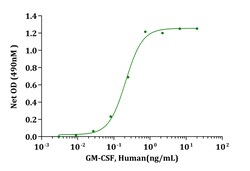 Genscript Corporation&nbsp;GM-CSF, Human