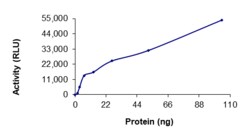 Sino Biological&nbsp;Recombinant Human CDK4 & Cyclin D3 Protein (Full Length, GST Tag), Active