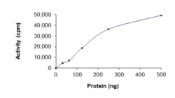 Sino Biological&nbsp;Recombinant Human CDK7 & CCNH & MNAT1 Protein (Full Length, His Tag), Active