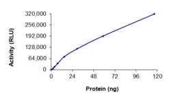 Sino Biological&nbsp;Recombinant Human CDK9 & Cyclin T2 Protein (Full Length, GST Tag), Active