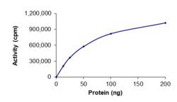 Sino Biological&nbsp;Recombinant Human Chk1 Protein (Full Length, GST Tag), Active