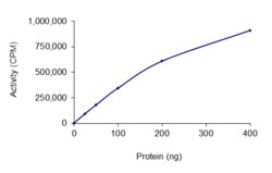 Sino Biological&nbsp;Recombinant Human Chk1 Protein (Full Length, His Tag), Active