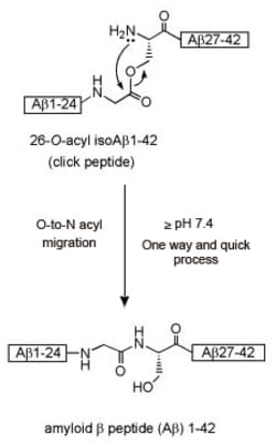 Genscript Corporation β-Amyloid (1-42), human, Quantity: Each of 1