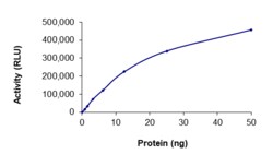 Sino Biological&nbsp;Recombinant Human M-CSFR/CSF1R Protein (GST Tag), Active