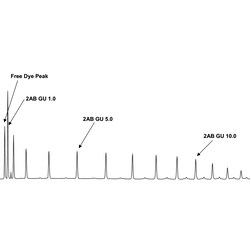 QA Bio Inc QA-Bio, Inc. • Ludger Glucose Homopolymer Ladder 2-AB • 100