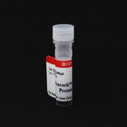 Biotium Peacock Prestained Protein Marker, Quantity: Each of 1