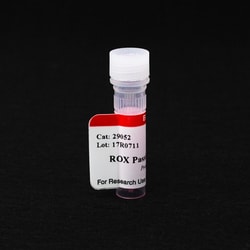 Biotium ROX Passive Reference Dye, Quantity: Each of 1