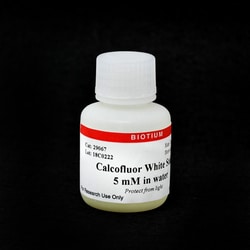 Biotium Calcofluor White Stain, 5 mM in Water. 20ml, Quantity: Each of