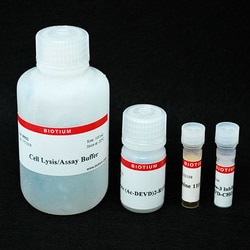 Biotium Caspase-3 DEVD-R110 Fluorometric HTS Assay Kit, Quantity: Pack
