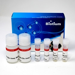 Biotium ATP-Glo™ Bioluminometric Cell Viability Assay Kit (1000 assays)