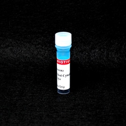 Biotium CellBrite Cytoplasmic Membrane Dyes, Quantity: Each of 1
