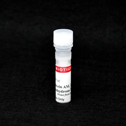 Biotium Calcein AM Cell Viability Assay Kit (1000 assays), Quantity: Pack