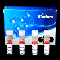 Biotium Viability/Cytotoxicity Assay kit for Bacteria Live and Dead Cells,