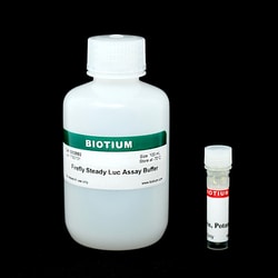 Biotium Steady-Luc Firefly HTS Assay Kit, 120 Assays, Quantity: Pack of