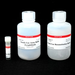 Biotium Steady-Luc Firefly HTS Assay Kit (Lyophilized)