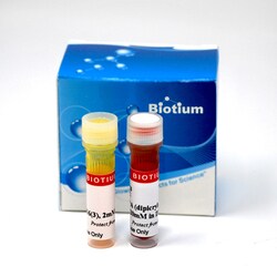 Biotium DiO/DPA membrane potential detection kit, Quantity: Pack of 1