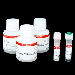 Biotium CF488A and 7-AAD Apoptosis Assay Kit, Quantity: Pack of 1