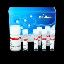 Biotium CF594 TUNEL Assay Apoptosis Detection Kit, Quantity: Pack of 1