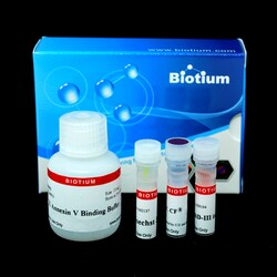 Biotium Apoptotic, Necrotic & Healthy Cells Quantitation Kit Plus (50 assays),