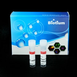 Biotium ViaFluor 405 SE Cell Proliferation Kit (10 vials, 1000 assays),