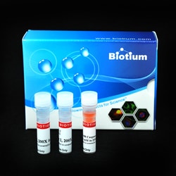 Biotium&nbsp;NucView 488 and RedDot&trade; 2 Apoptosis & Necrosis Kit (100 assays)