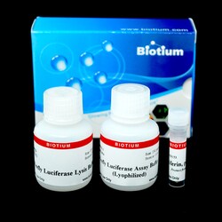 Biotium Firefly Luciferase Assay Kit (Lyophilized), Quantity: Pack of 1