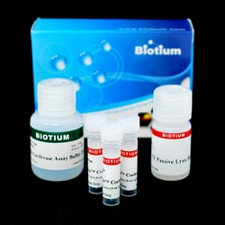 Biotium Renilla Luciferase Assay Kit 2.0, 150 Assays, Quantity: Pack of