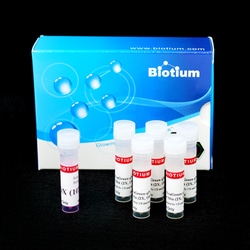 Biotium Fast EvaGreen Master Mix for qPCR(200 rxn), Quantity: Each of 1