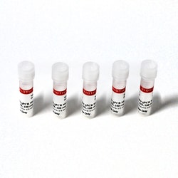 Biotium Fast Probe Master Mix (200 rxn), Quantity: Each of 1