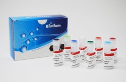 Biotium AccuBlue High Sensitivity dsDNA Standards, set of eight, 0.5 mL each