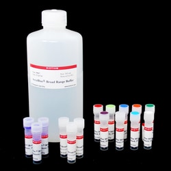Biotium AccuBlue Broad Range dsDNA Quantitation Kit with DNA Standard, trial size (200 assays)