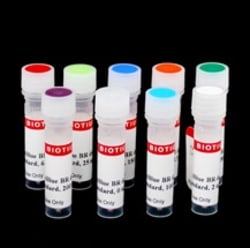 Biotium AccuBlue Broad Range dsDNA Quantitation Standards, set of nine, 0.5 mL each