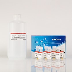 Biotium AccuClear Ultra High Sensitivity dsDNA Quantitation Assay kit with 1 DNA Standard (2000 assays)