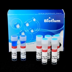 Biotium Forget-Me-Not™ Universal Probe Master Mix with ROX (500 reactions)