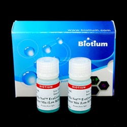 Biotium Forget-Me-Not™ EvaGreen qPCR Master Mix (Low ROX) (2000 reactions)