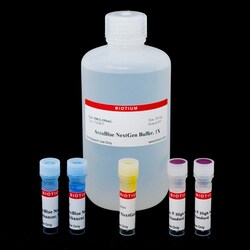 Biotium AccuBlue NextGen dsDNA Quantitation Kit (1000 assays), Quantity:
