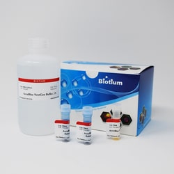 Biotium AccuBlue NextGen dsDNA Quantitation Solution (1000 assays)