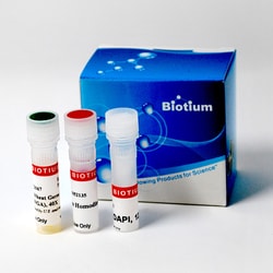 Biotium Bacterial Viability and Gram Stain Kit - 200 assays, Quantity: