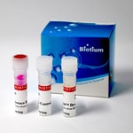 Biotium GloMelt Thermal Shift Protein Stability Kit, with
