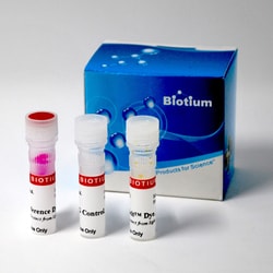 Biotium GloMelt Thermal Shift Protein Stability Kit, with ROX, 2000 assays,