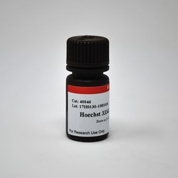 Biotium Hoechst 33342, 10mg/mL in H2O, Quantity: Each of 1