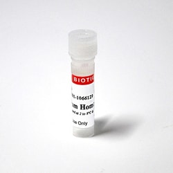 Biotium Ethidium homodimer III, Quantity: Each of 1