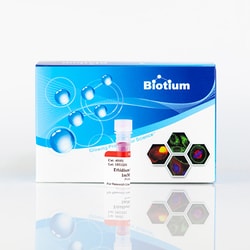 Biotium Ethidium homodimer III, 1mM in DMSO, Quantity: Each of 1